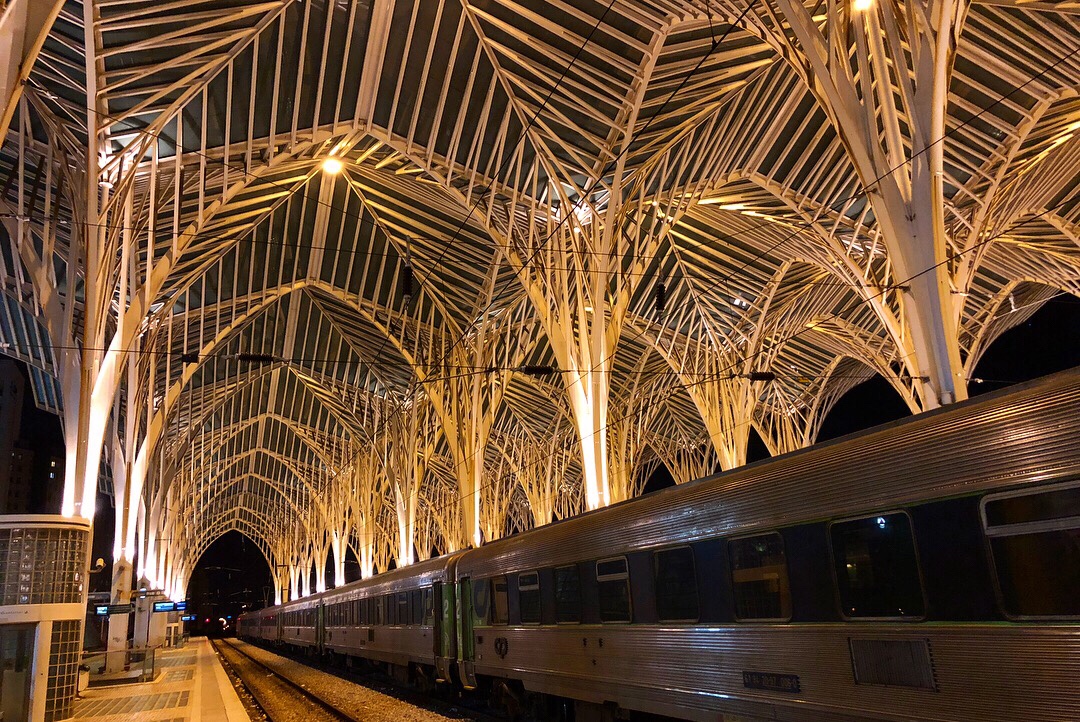 リスボンにあるサンティアゴ カラトラバ設計の オリエンテ駅 が生物の骨格のように美しい Oh My ブログ